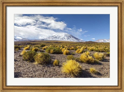 Framed Lascar Volcano in Chile Print