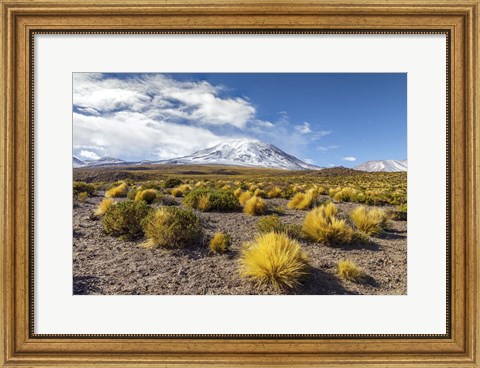 Framed Lascar Volcano in Chile Print