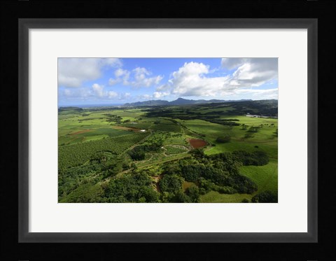 Framed Wailua River State Park, Kauai, Hawaii Print
