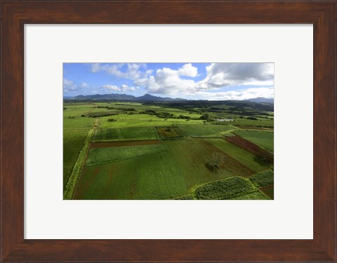 Framed Wailua River State Park, Kauai, Hawaii Print