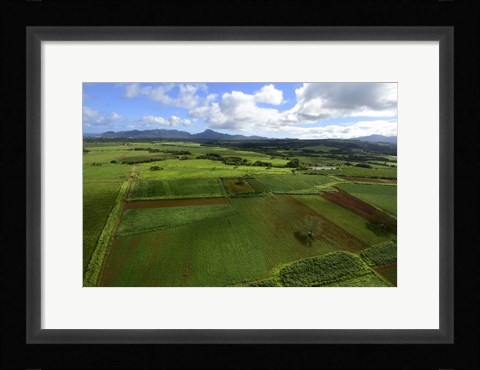 Framed Wailua River State Park, Kauai, Hawaii Print