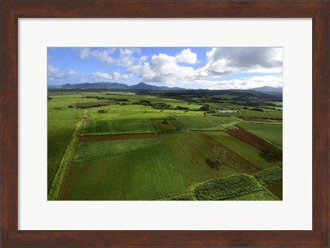 Framed Wailua River State Park, Kauai, Hawaii Print
