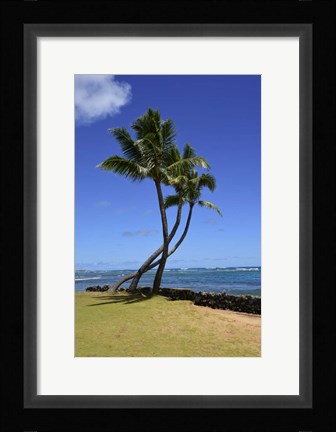 Framed Palm Trees on the Coast Of Hauula, Oahu, Hawaii Print