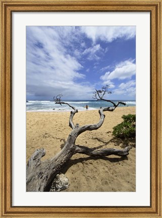 Framed Driftwood and Surfer on a Beach in Oahu, Hawaii Print