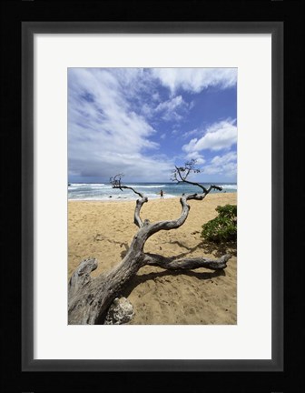 Framed Driftwood and Surfer on a Beach in Oahu, Hawaii Print