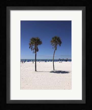 Framed Palm Trees, Clearwater Beach, Florida Print