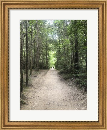 Framed Catawba Falls Trailhead, Asheville, North Carolina Print