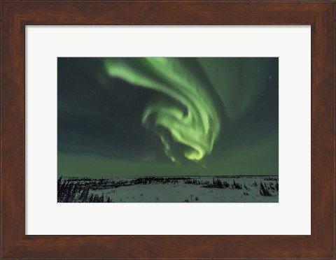 Framed Swirls of Auroral Curtains in the Northeast Sky, Churchill Print