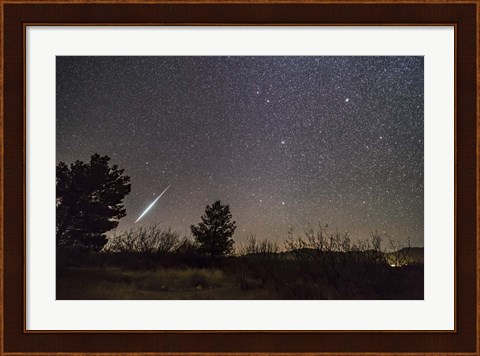 Framed Single Bright Meteor From the Geminid Meteor Shower of December 2017 Print