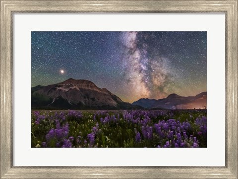 Framed Summer Milky Way and Mars Over Waterton Valley and Vimy Peak Print