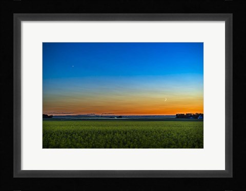 Framed Waxing Crescent Moon Below Venus Over a Ripening Canola Field Print