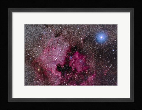 Framed North America Nebula Near Teh Bright Blue-White Star Deneb Print