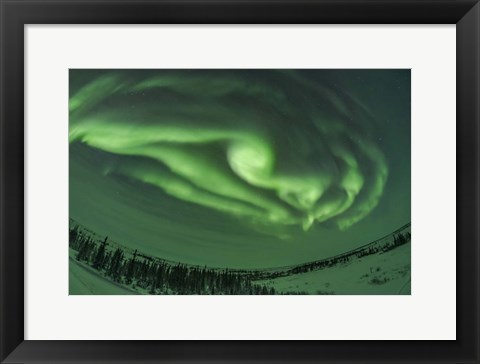 Framed Auroral Arcs, Loops and Swirls, Manitoba Print