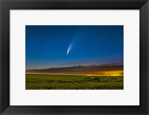 Framed Comet NEOWISE Over a Ripening Canola Field in Southern Alberta Print