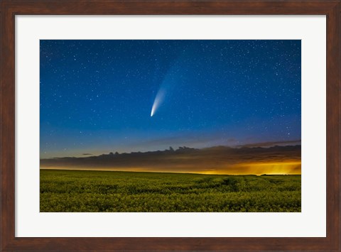 Framed Comet NEOWISE Over a Ripening Canola Field in Southern Alberta Print
