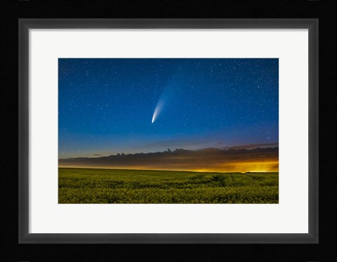 Framed Comet NEOWISE Over a Ripening Canola Field in Southern Alberta Print