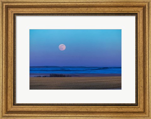 Framed Rising Full Moon Over the Alberta Prairie Print