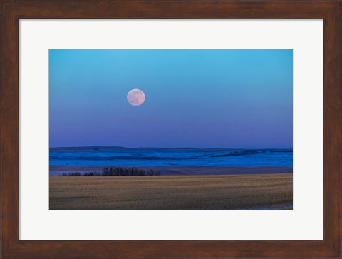 Framed Rising Full Moon Over the Alberta Prairie Print