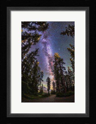 Framed Summer Milky Way With Through Pine Trees Print