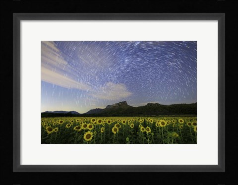 Framed Star Trails Among the Passing Clouds Above a Sunflower Filed Near Bangkok, Thailand Print