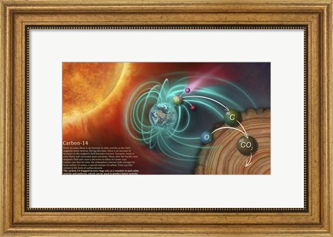 Framed Illustration Depicting the Creation of Carbon-14 and How It Becomes Locked in Tree Rings Print