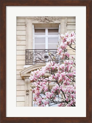 Framed Spring Magnolias in Paris Print