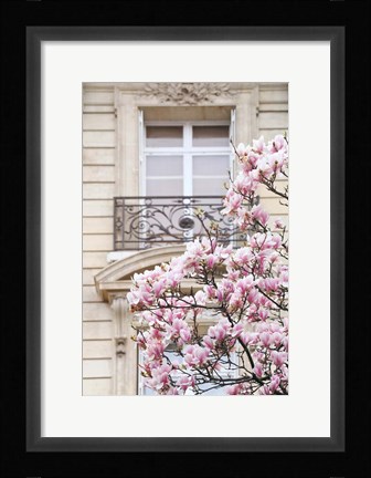 Framed Spring Magnolias in Paris Print