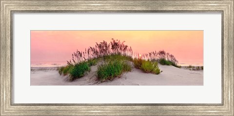 Framed Sea Oats Sun Print