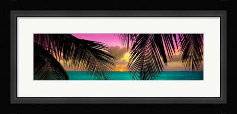 Framed Sun Palms Print