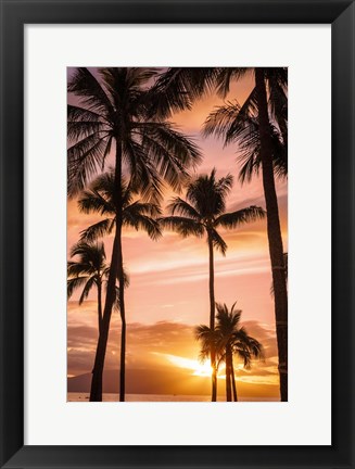 Framed Palm Trees At Sunset Of Maui, Hawaii Print