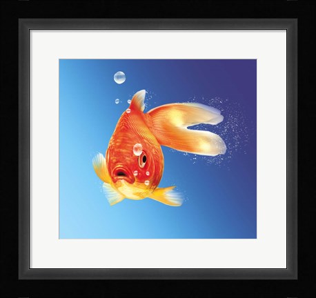 Framed Goldfish With Water Bubbles Print