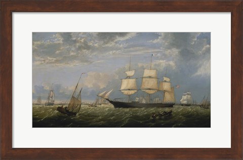 Framed Golden Gate Merchant Ship entering New York Harbor, 1854 Print