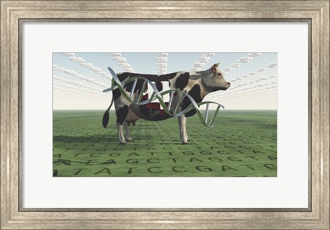 Framed GMO Business Cow Print