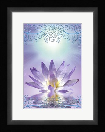 Framed Lotus With Decorative Edging Print
