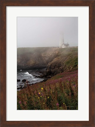 Framed Coastal Fog IV Print