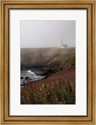 Framed Coastal Fog IV Print