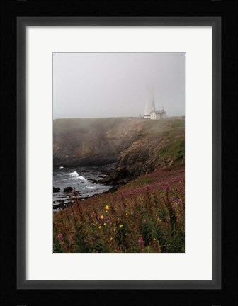 Framed Coastal Fog IV Print