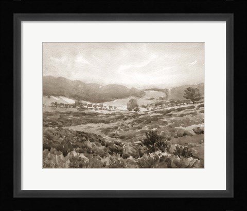 Framed Field of Flowers Sepia Print