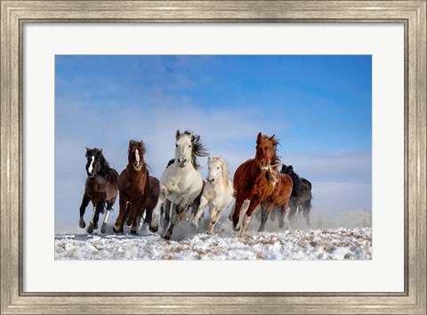 Framed Mongolia Horses Print