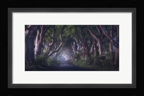 Framed Dark Hedges Print