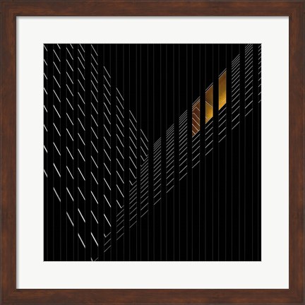 Framed Light Rail Print