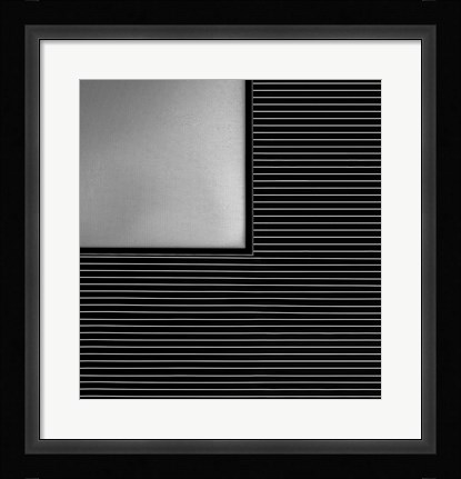 Framed Linearis Print