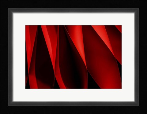 Framed Foramina Print