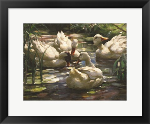 Framed Ducks by the Lake 4 Print