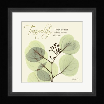 Framed Tranquility Print