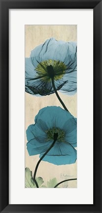 Framed Iceland Poppy Moments Print