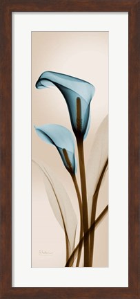 Framed Blue Calla Lily Print