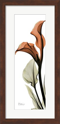 Framed Terracotta Calla Lily Print