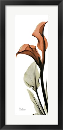Framed Terracotta Calla Lily Print