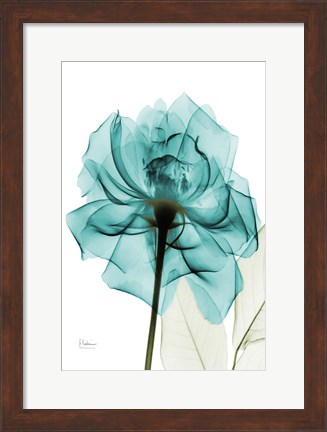 Framed Teal Spirit Rose Print
